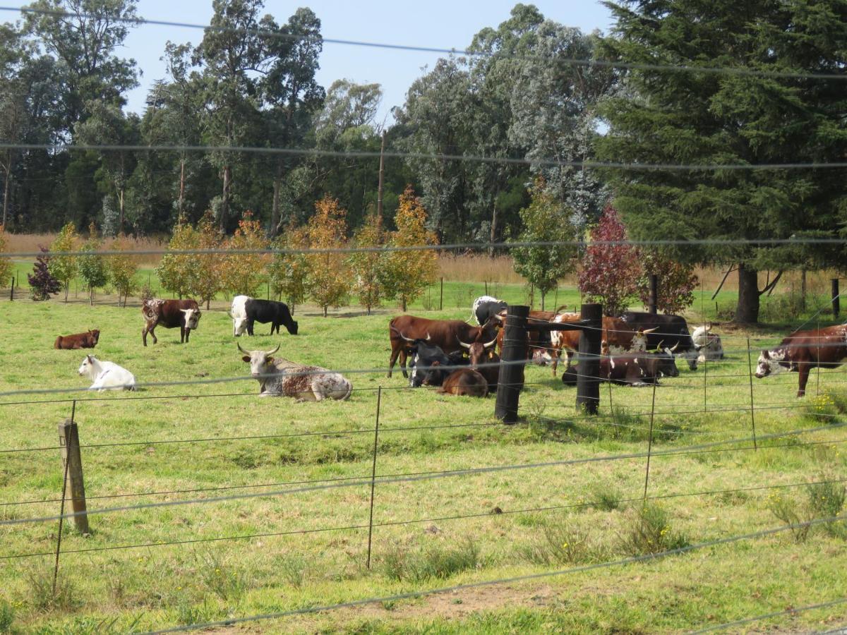 Dunroamin Bed&Breakfast Mooi River Exterior foto